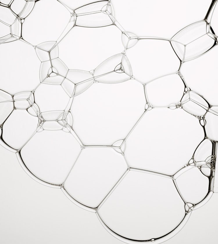 Im Fokus: Die Hautbarriere - Susanne Kaufmann