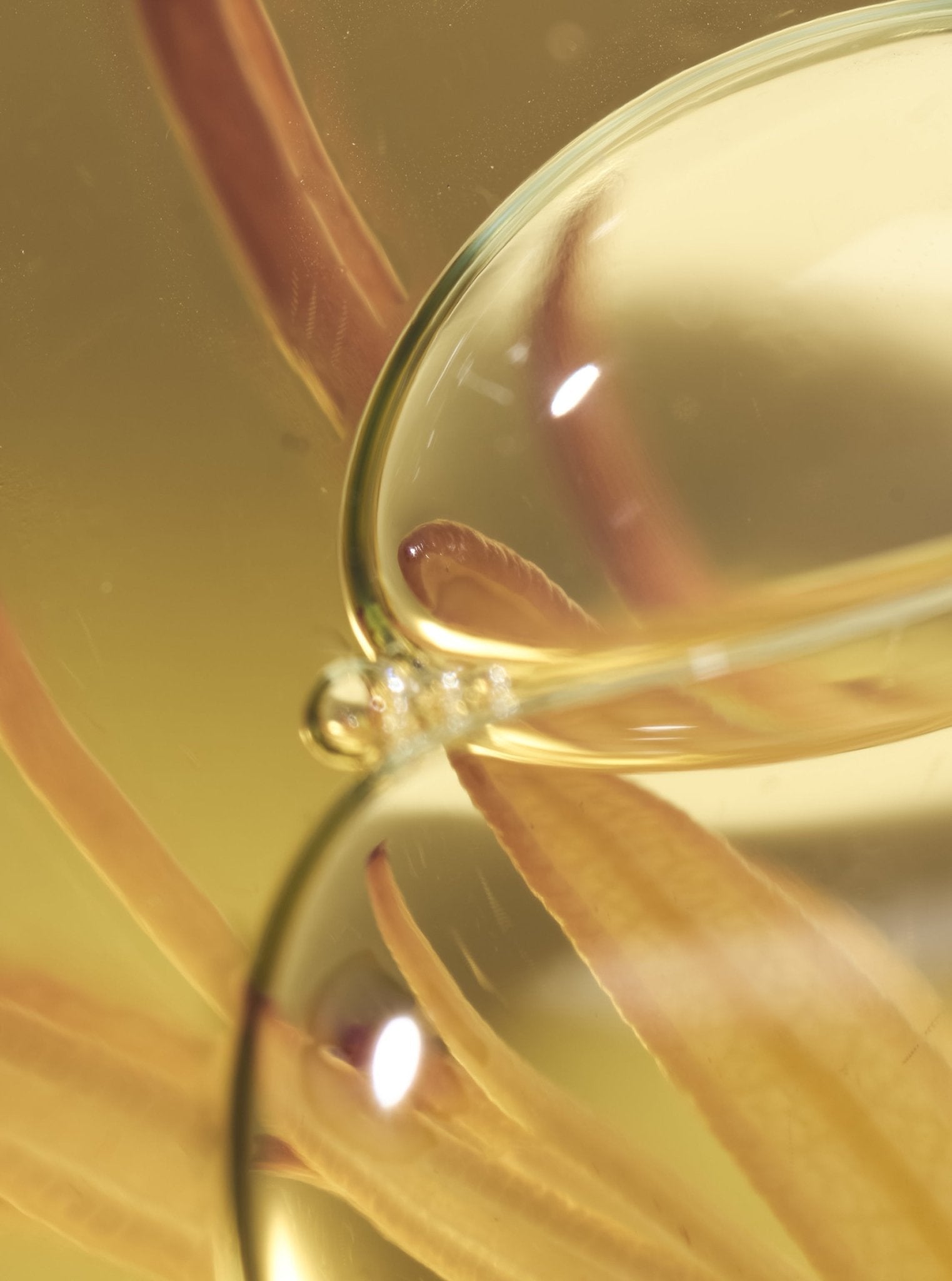 Bath for the Senses - Susanne Kaufmann