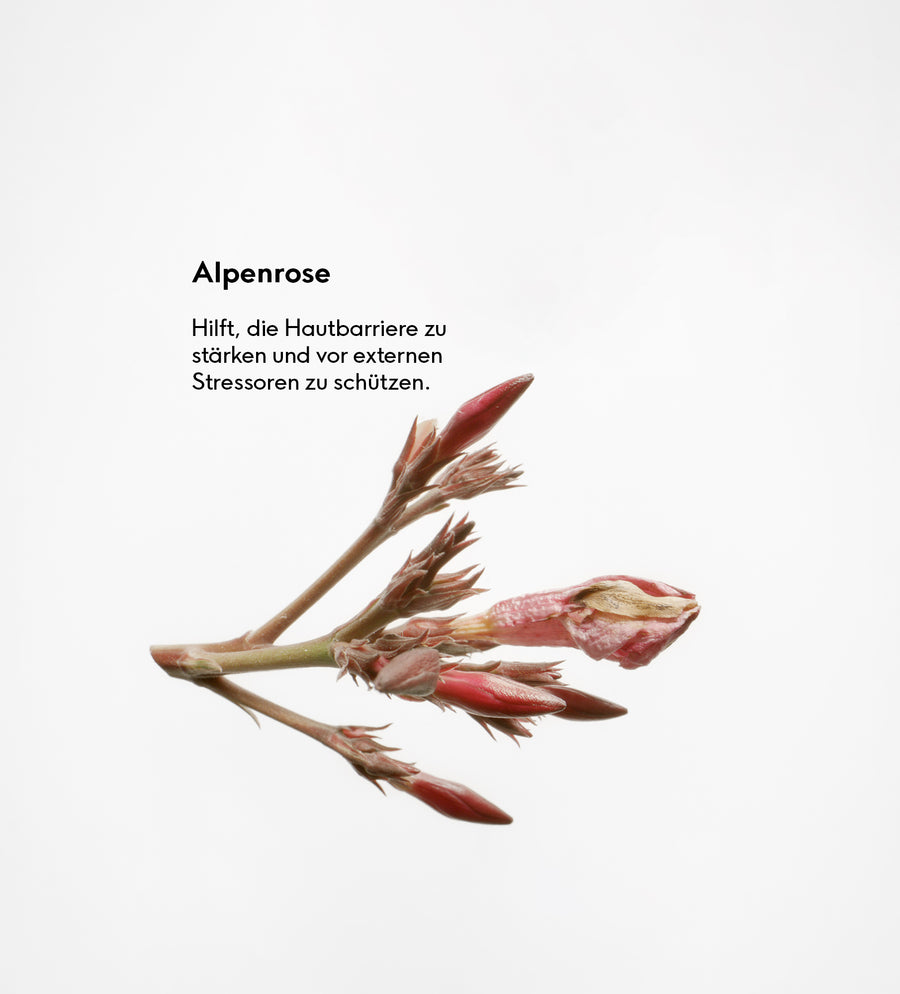 Nourishing Day Cream