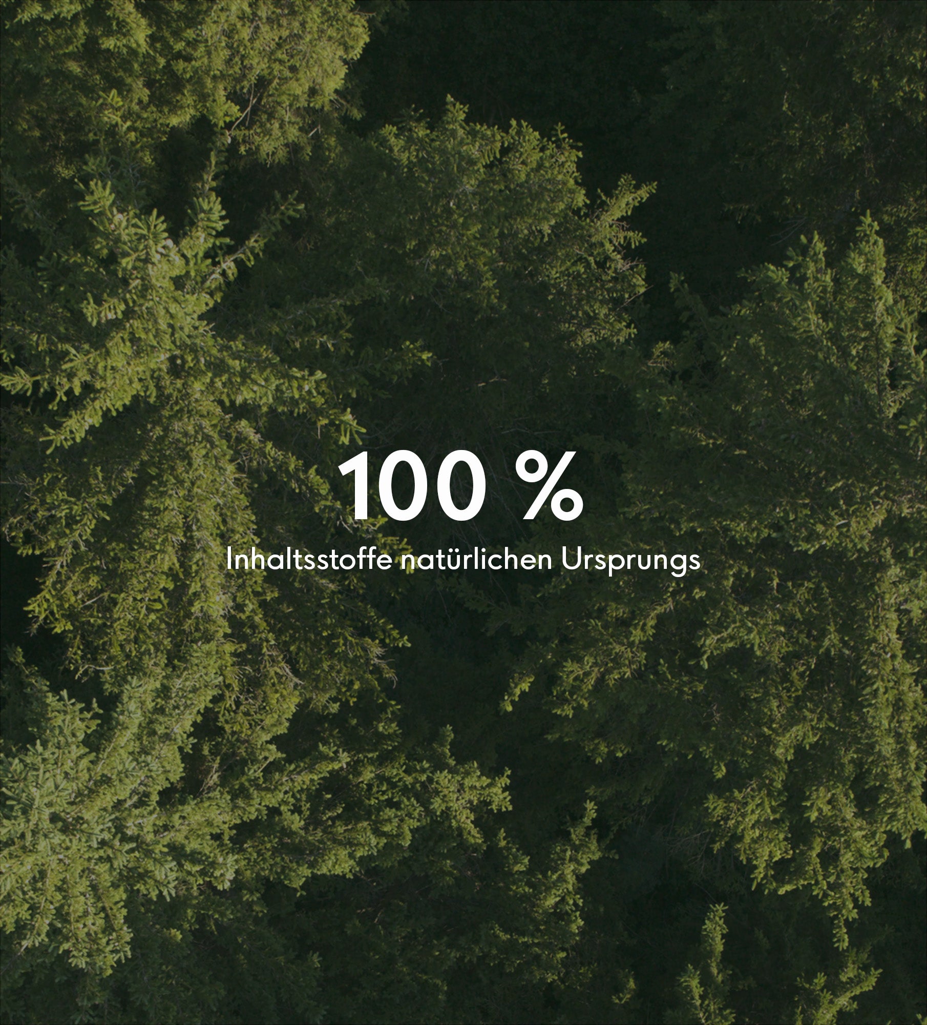 Vitamin C Complex Serum - Susanne Kaufmann